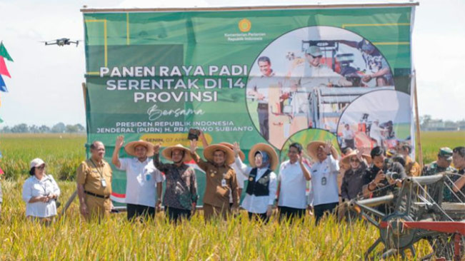 Jateng Optimis Mampu Penuhi Target 11,8 Juta Ton Padi pada 2025